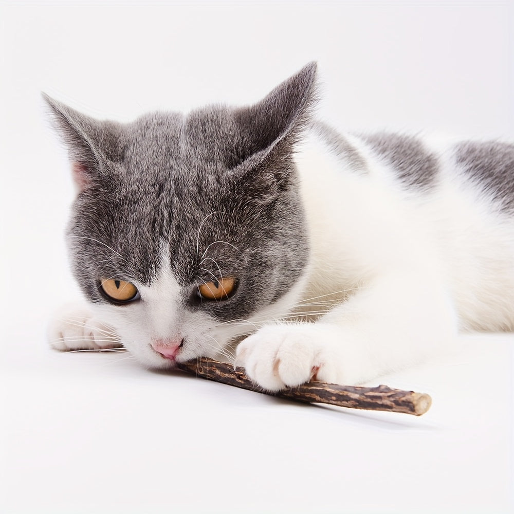 5-Pack Natural Wooden Cat Dental Sticks - Wholesome Indoor Cat Toy for Healthy Feline Teeth and Gums