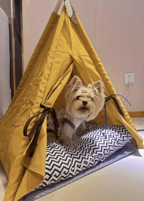 Pet Tent Portable Pet Tents For Small Dogs Or Cats, Puppy Bed Washable Dog Or Cat Houses With Cushion