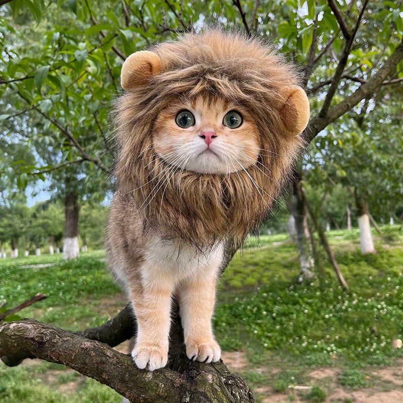 Furry Feline Wig - Soft, Breathable Polyester Pet Costume Accessory with Adorable Ears for Kitty Dress Up, Cosplay, Photo Shoots, and Everyday Play - Comfortable, Durable, and Easy to Clean