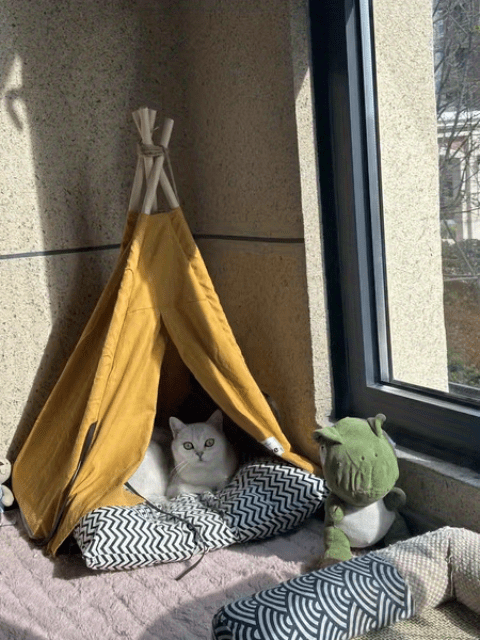 Pet Tent Portable Pet Tents For Small Dogs Or Cats, Puppy Bed Washable Dog Or Cat Houses With Cushion