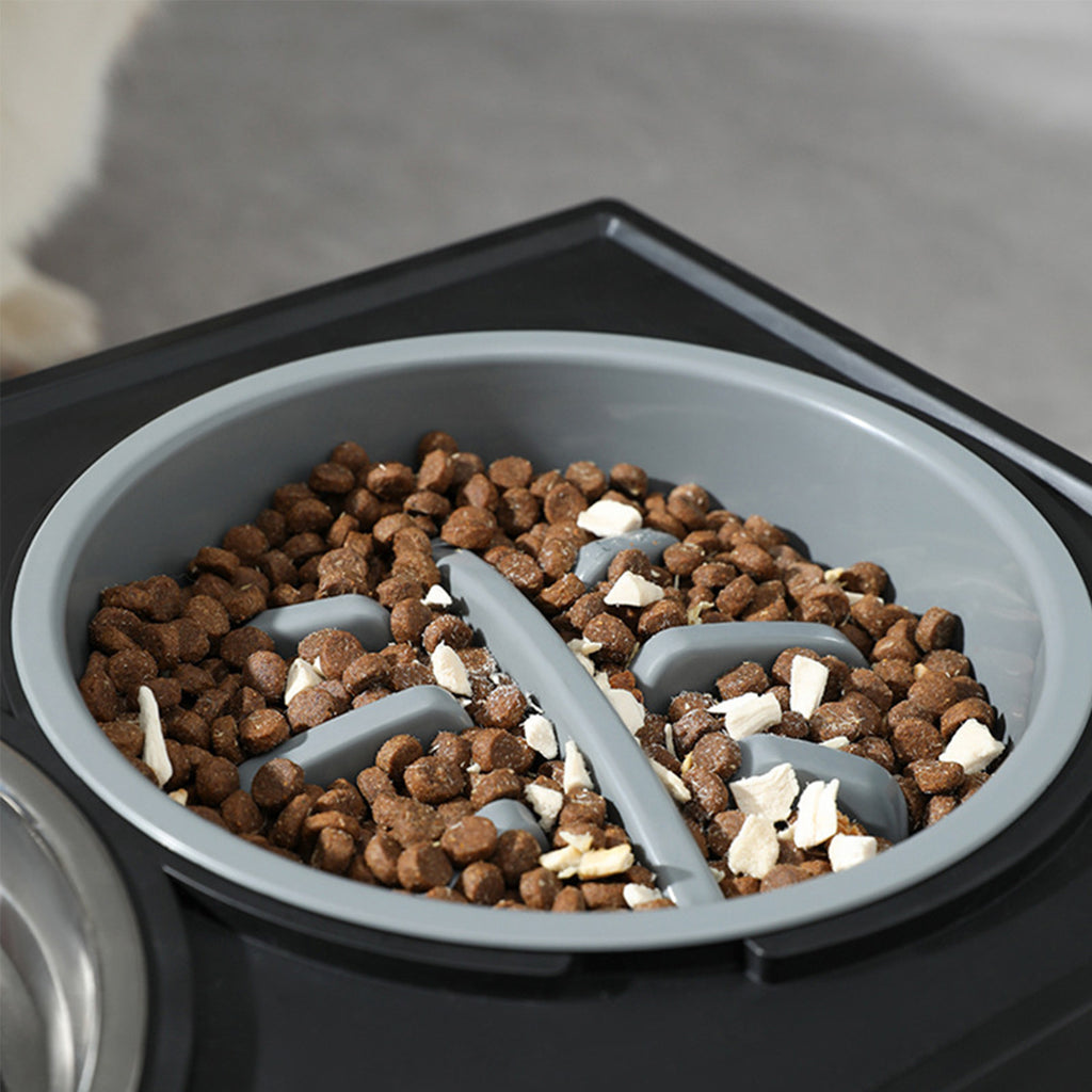 Personalized Stainless Steel Elevated Dog Feeder Bowl - Slow Eating, Anti-Gulping, Spill-Proof, Adjustable Height for Small to Large Dogs & Cats - Durable, Easy to Clean, Healthy Mealtime Solution