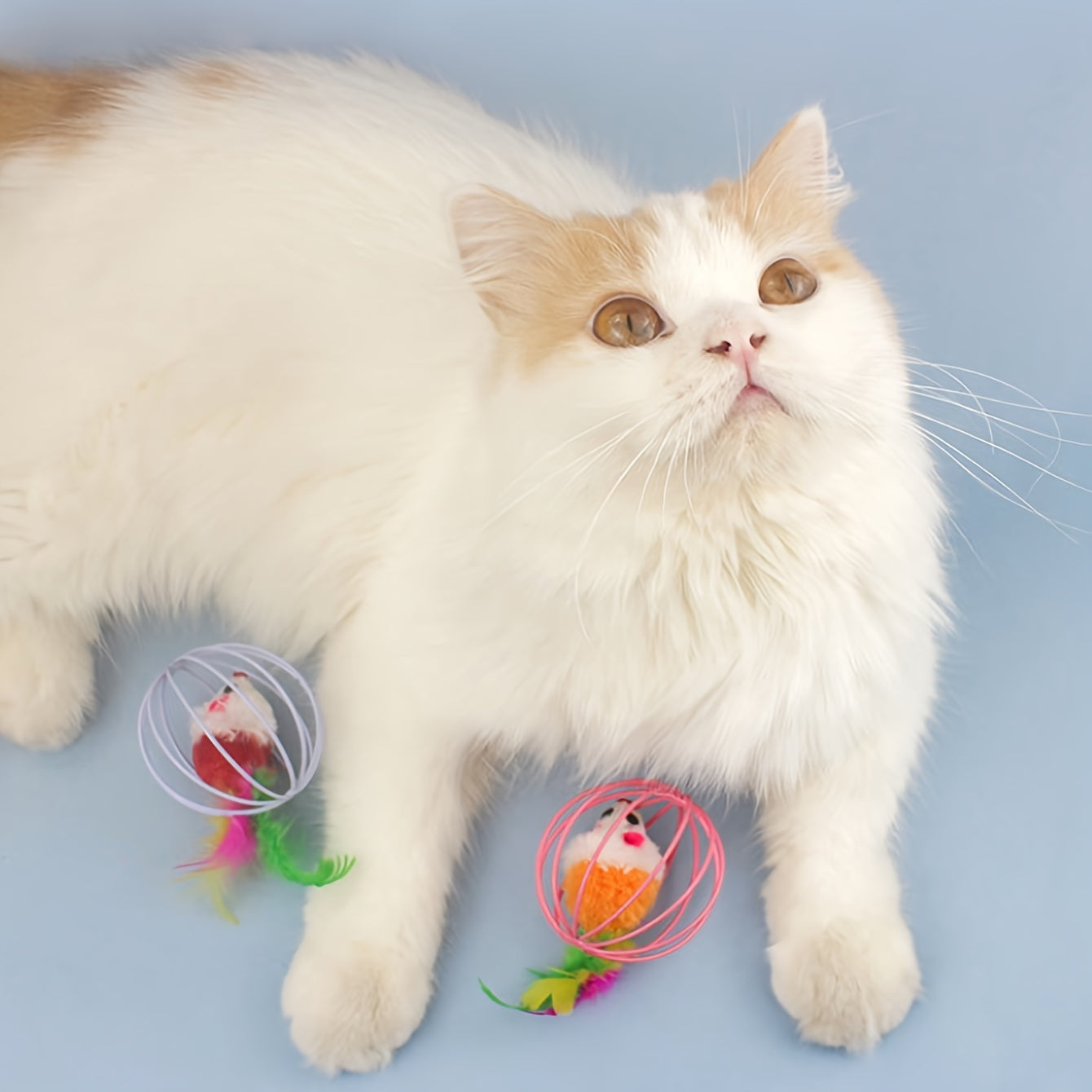 Ite-Resistant Cat Teaser Toy Cage Mouse Toy, Colorful Artificial Cat Toys, Kitten Indoor Play Toy