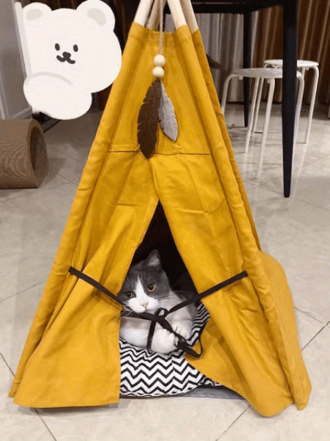 Pet Tent Portable Pet Tents For Small Dogs Or Cats, Puppy Bed Washable Dog Or Cat Houses With Cushion
