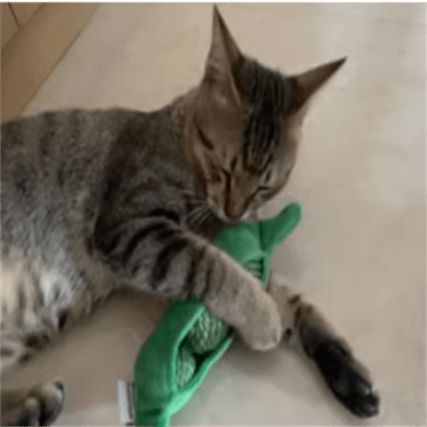ZEZE Cat Hide-and-seek Toy Kitten Teasing Cat Stick Self Enjoyable Relieve Boredom Sisal Ball Cat Teeth Grinding Pea Toy Ball Supplies