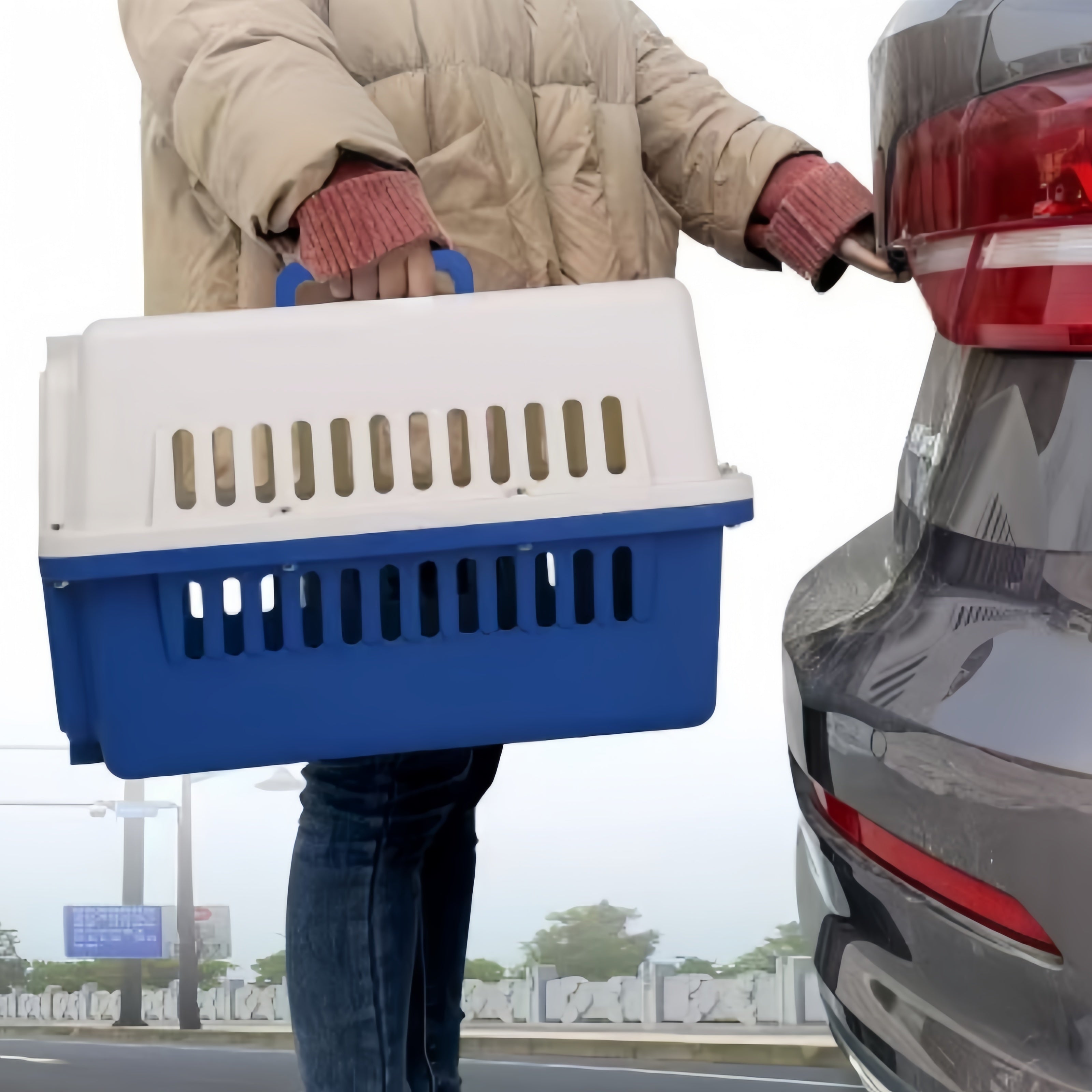 1pc Portable Hard-Sided Cat Carrier Aviation Box - Buckle Closure, Suitable For Cats, Rabbits, Small Pets, Easy To Detach