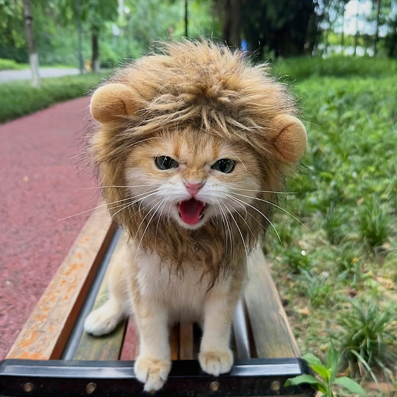 Furry Feline Wig - Soft, Breathable Polyester Pet Costume Accessory with Adorable Ears for Kitty Dress Up, Cosplay, Photo Shoots, and Everyday Play - Comfortable, Durable, and Easy to Clean