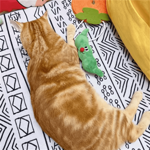 ZEZE Cat Hide-and-seek Toy Kitten Teasing Cat Stick Self Enjoyable Relieve Boredom Sisal Ball Cat Teeth Grinding Pea Toy Ball Supplies