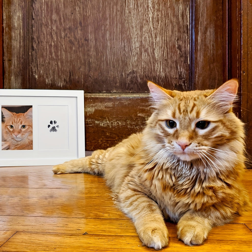 Pet Paw Print Memorial Kit - 1pc Capture Touch Skin Inkless Pad Set for Cats and Dogs - Plastic Material Keepsake for Pets