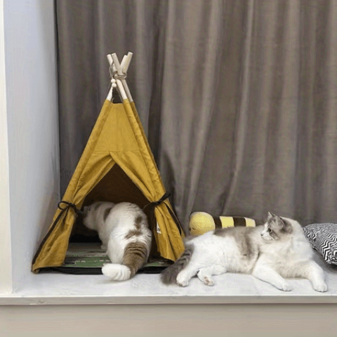 Pet Tent Portable Pet Tents For Small Dogs Or Cats, Puppy Bed Washable Dog Or Cat Houses With Cushion
