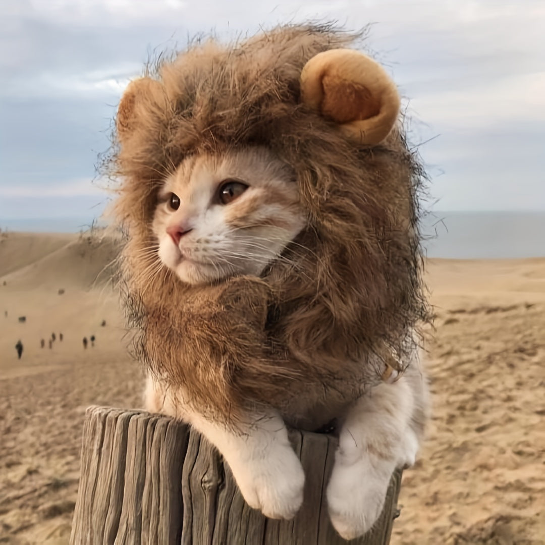 Furry Feline Wig - Soft, Breathable Polyester Pet Costume Accessory with Adorable Ears for Kitty Dress Up, Cosplay, Photo Shoots, and Everyday Play - Comfortable, Durable, and Easy to Clean