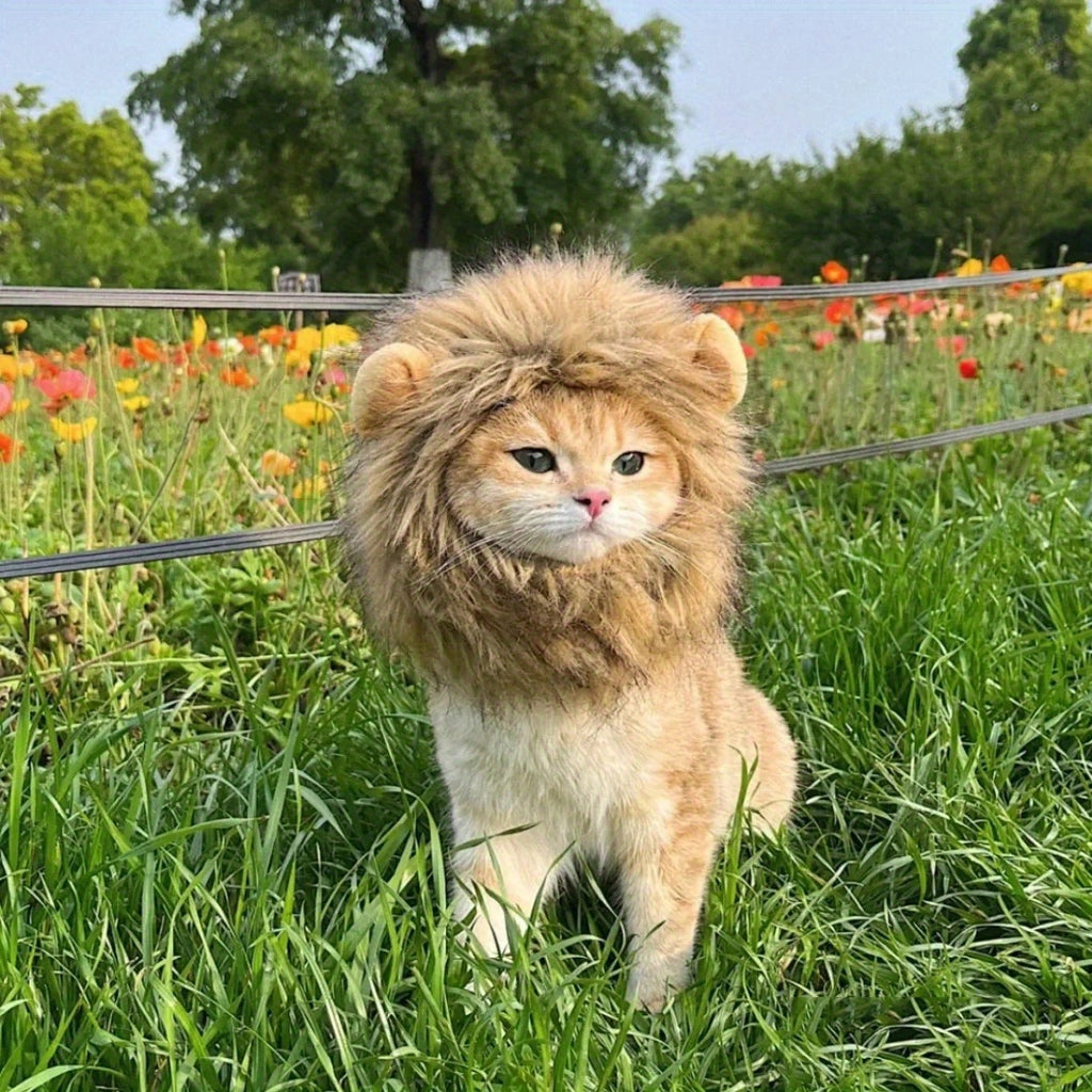 Furry Feline Wig - Soft, Breathable Polyester Pet Costume Accessory with Adorable Ears for Kitty Dress Up, Cosplay, Photo Shoots, and Everyday Play - Comfortable, Durable, and Easy to Clean