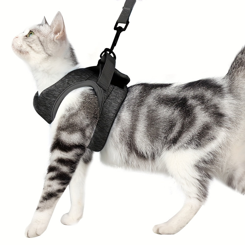Escape-Proof Cat Harness and Leash Set - Soft Adjustable Vest Harness for Small and Medium Cats - Easy Control for Puppies - Cationic Fabric for Comfort and Durability - Perfect for Safe and Enjoyable Walks
