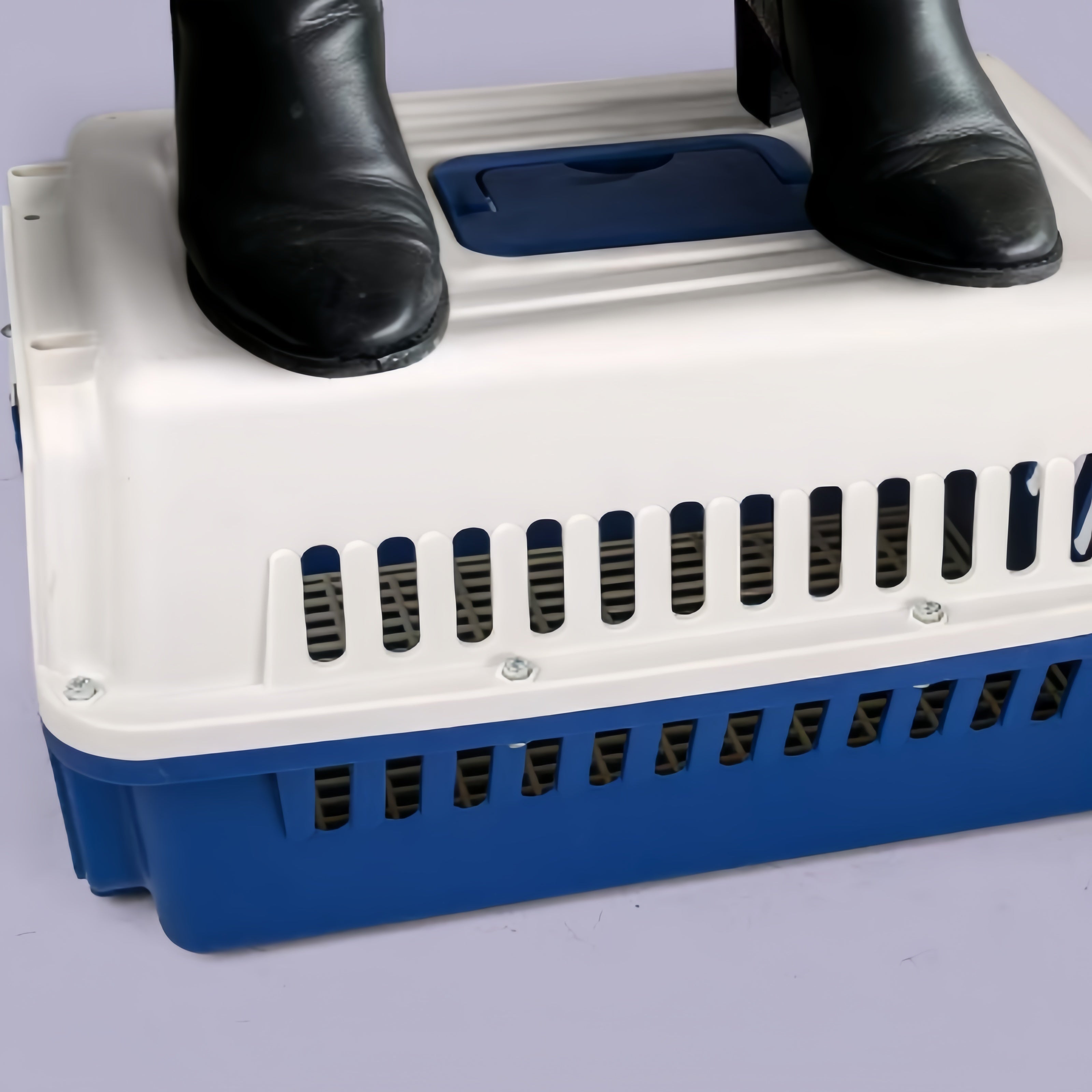 1pc Portable Hard-Sided Cat Carrier Aviation Box - Buckle Closure, Suitable For Cats, Rabbits, Small Pets, Easy To Detach