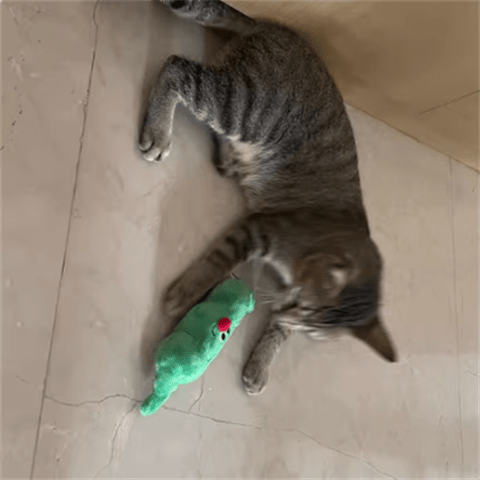 ZEZE Cat Hide-and-seek Toy Kitten Teasing Cat Stick Self Enjoyable Relieve Boredom Sisal Ball Cat Teeth Grinding Pea Toy Ball Supplies