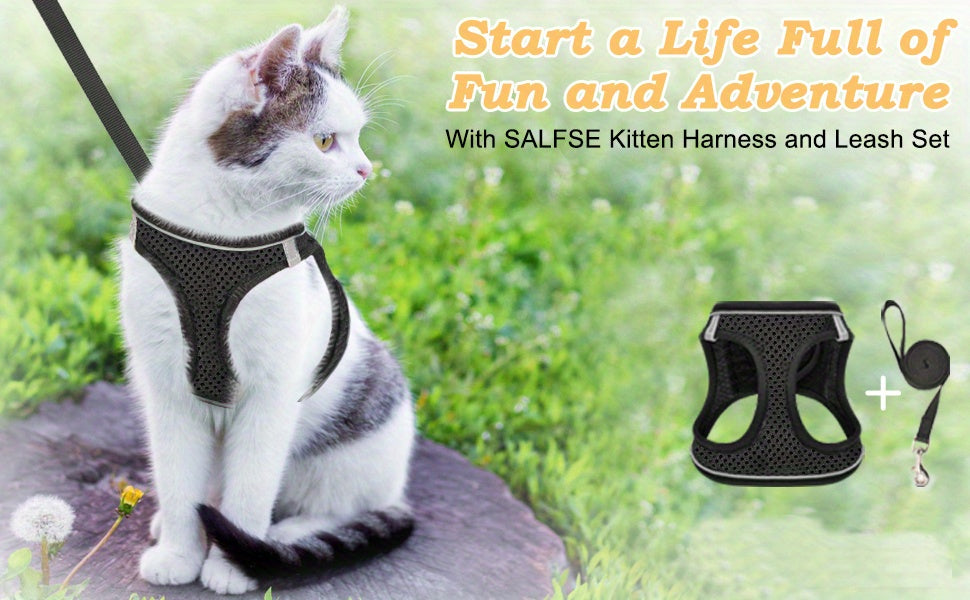 Escape-Proof Cat Harness & Leash Set: Reflective Soft Mesh Vest For Safe Outdoor Walks With Your Kitten