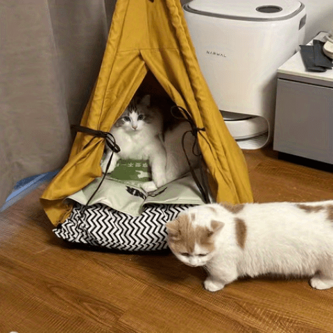 Pet Tent Portable Pet Tents For Small Dogs Or Cats, Puppy Bed Washable Dog Or Cat Houses With Cushion
