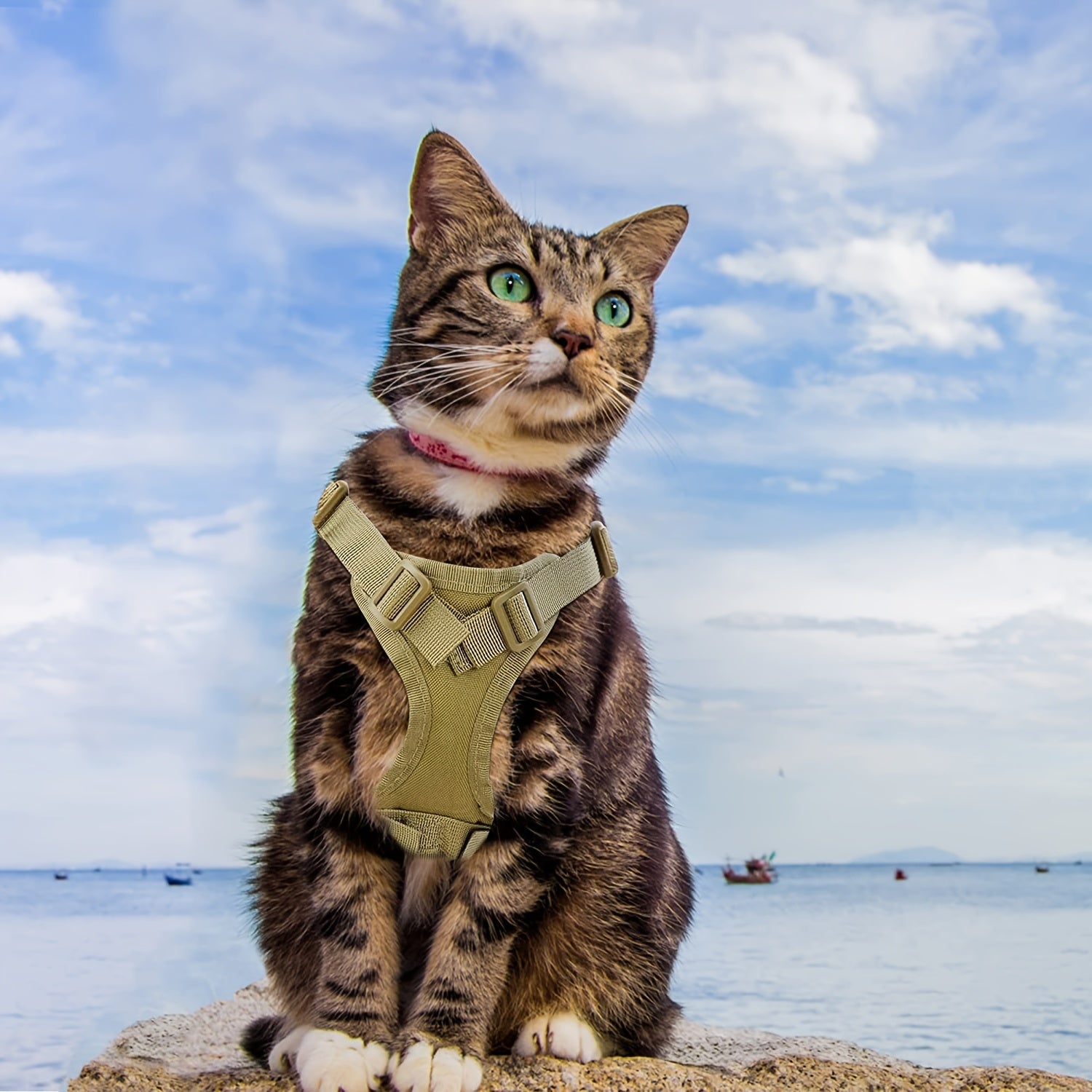 600D Tactical Vest for Cats - Pet Chest Strap Vest for Puppy And Cat Training, Suitable for Small Dogs