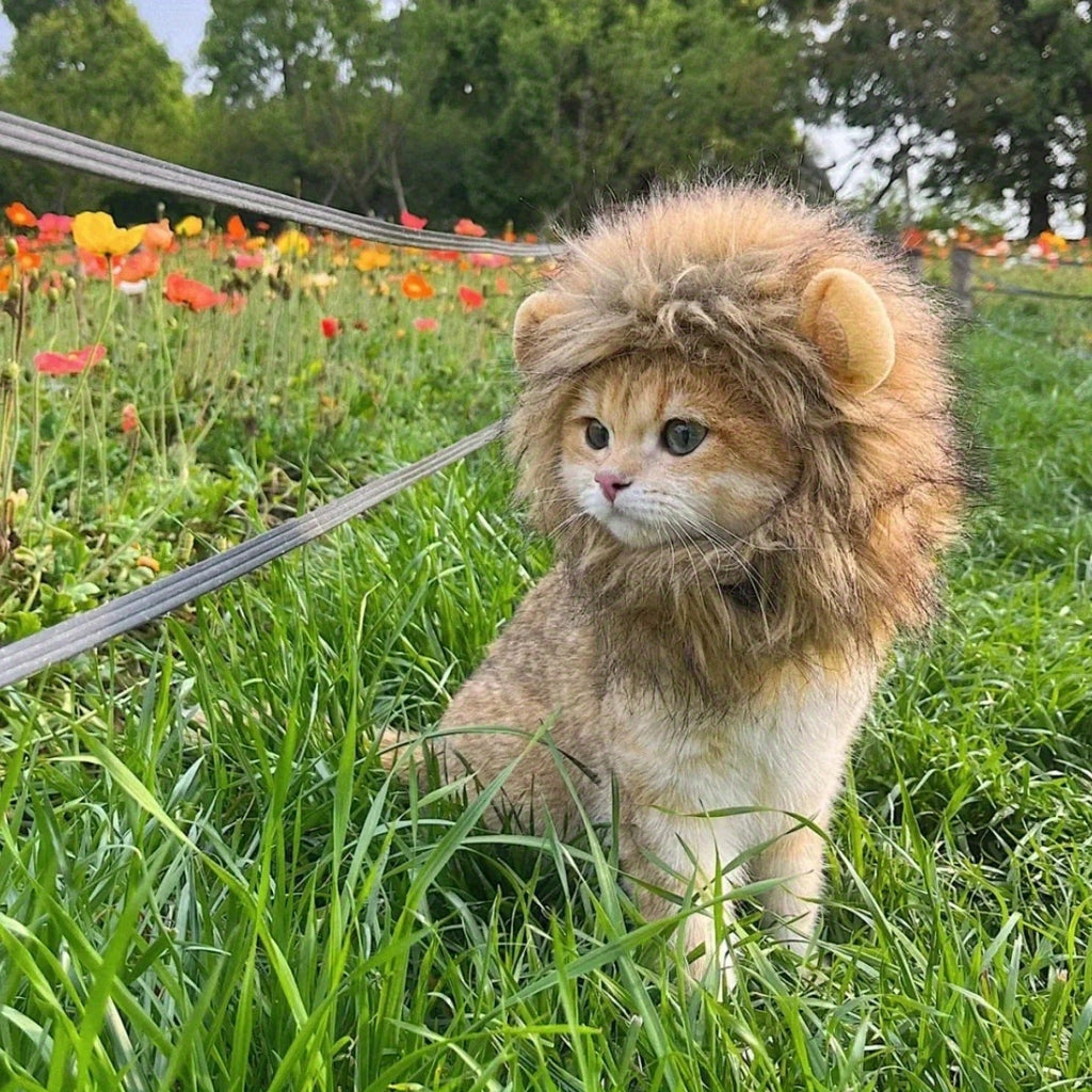 Furry Feline Wig - Soft, Breathable Polyester Pet Costume Accessory with Adorable Ears for Kitty Dress Up, Cosplay, Photo Shoots, and Everyday Play - Comfortable, Durable, and Easy to Clean