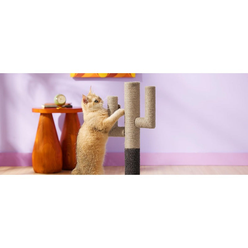 Lesure Medium-Sized Cactus Cat Scratching Post with Durable Carpet Base - Sturdy Kitten Play Tower, 65cm