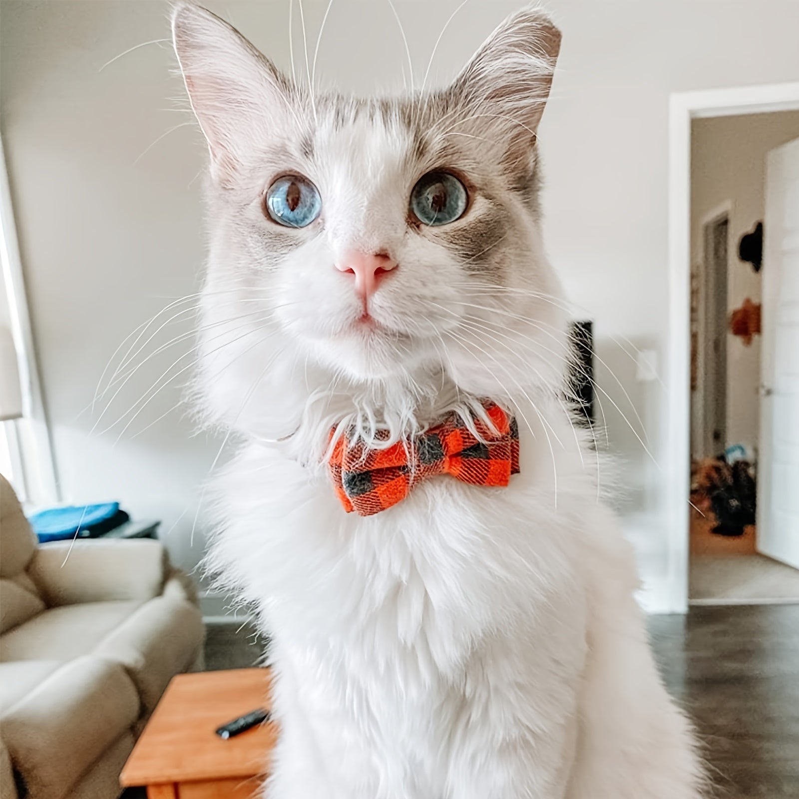 Cute Plaid Pattern Cat Collars With Bow Tie, Adjustable Comfortable Collar For Cats Pets Supplies