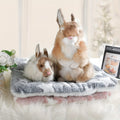 1pc Soft Pet Bed Mat For Small Animals, Ideal For Rabbits, Cats And Dogs, Thickened Warm Blanket For Winter