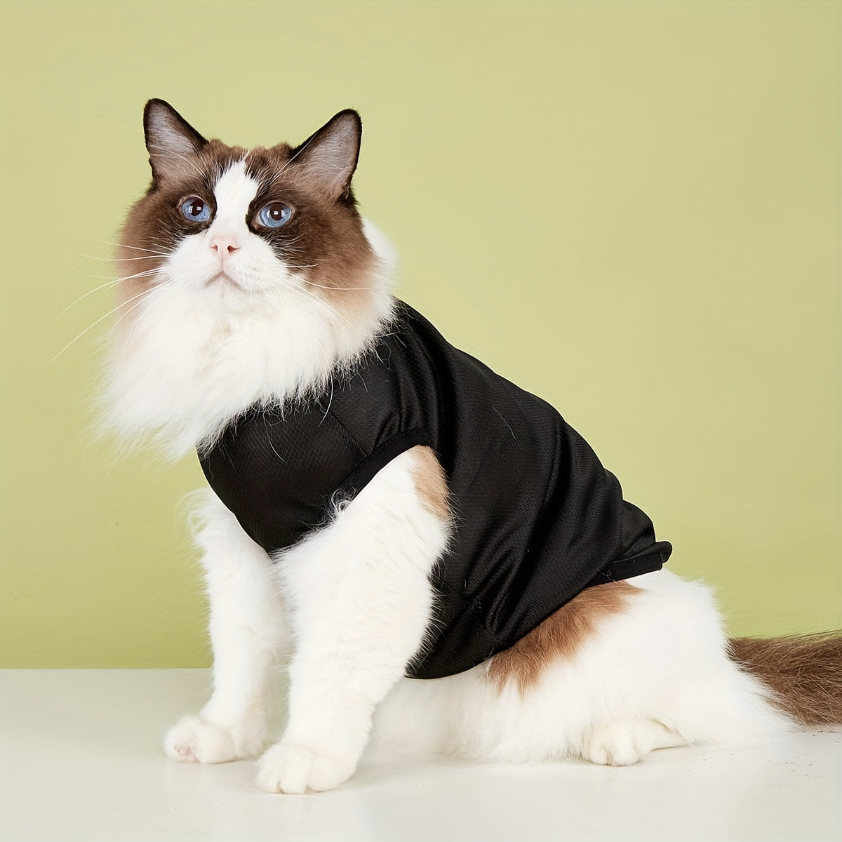 Pet Summer Vest Shirt for Small, Medium Dogs and Cats - Breathable Knitted Polyester Tee for Spring, Autumn - Hand Wash Only Pullover Top for Puppies, Kittens - Black 'Mom's Baby' Dog T-Shirt