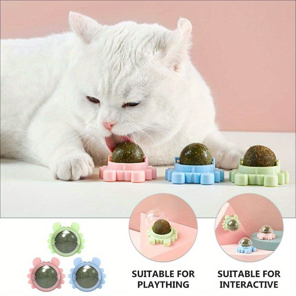 3pcs Rattan Cat Toy Interactive, Ball-Shaped, Chew & Play, Dental Health & Teeth Cleaning / Indoor Cats, All Breeds / Natural Rattan Material, Plaything, Interactive Cat / Durable Without Battery, Playful Exercise, Feline Enr