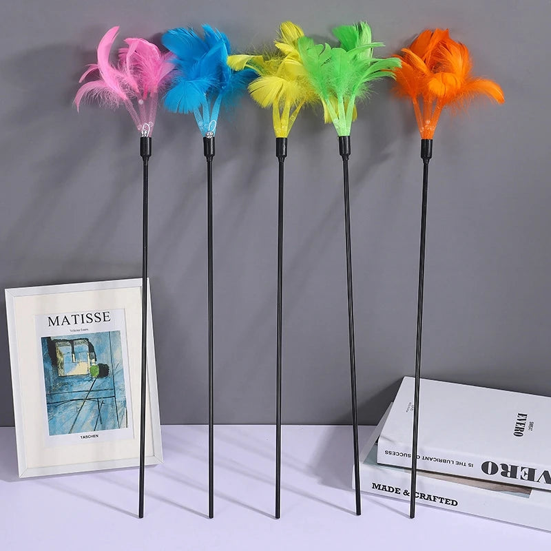 S1d1fa12fbe4b442dbb899f20a04ab535n