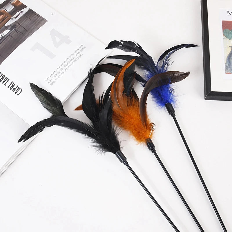 S4fdae24f6fb24cc9a54f1ea247f9acddU