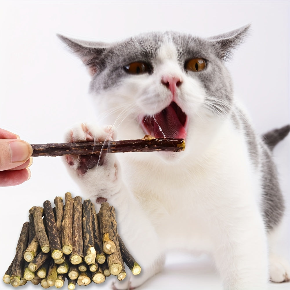 5-Pack Natural Wooden Cat Dental Sticks - Wholesome Indoor Cat Toy for Healthy Feline Teeth and Gums