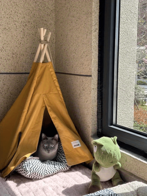 Pet Tent Portable Pet Tents For Small Dogs Or Cats, Puppy Bed Washable Dog Or Cat Houses With Cushion