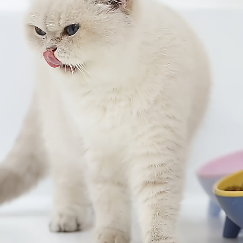 Elevated Cat Feeder Bowl With Stand 15 Degree Tilted Cat Food Bowl Water Dish For Neck Protection