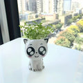 [1pc Cute Cat Flower Pot] 1pc Ceramic Mini Cat Cartoon Cute Flower Pot | Desktop Potted Plant DIY Desk Decoration | Youngsters's School Gift