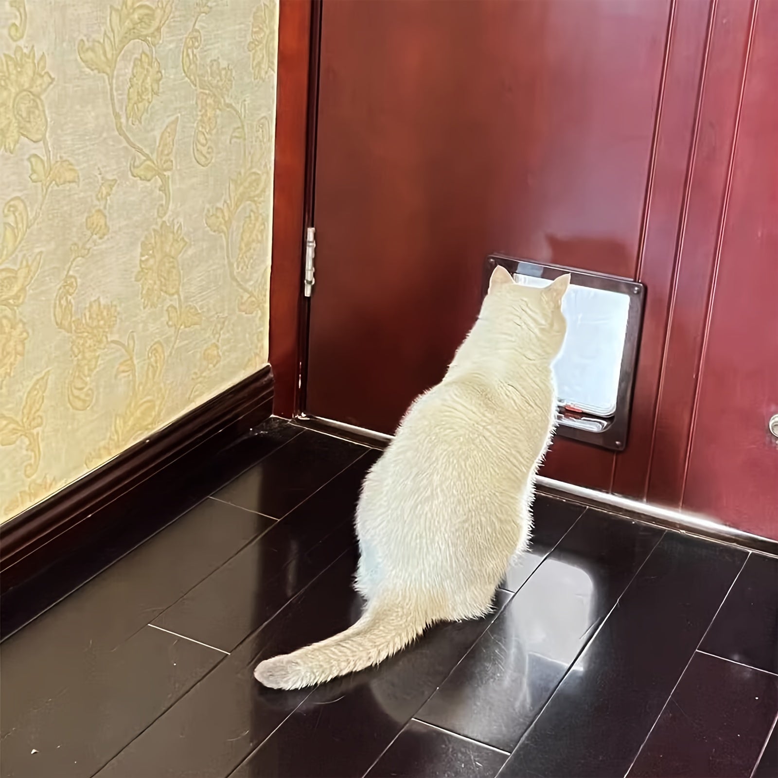 4 Way Locking Cat Door - Weatherproof, Acrylic Pet Flap for Cats and Small Dogs - Suitable for Door, Wall, and Window Installation with Easy Locking System