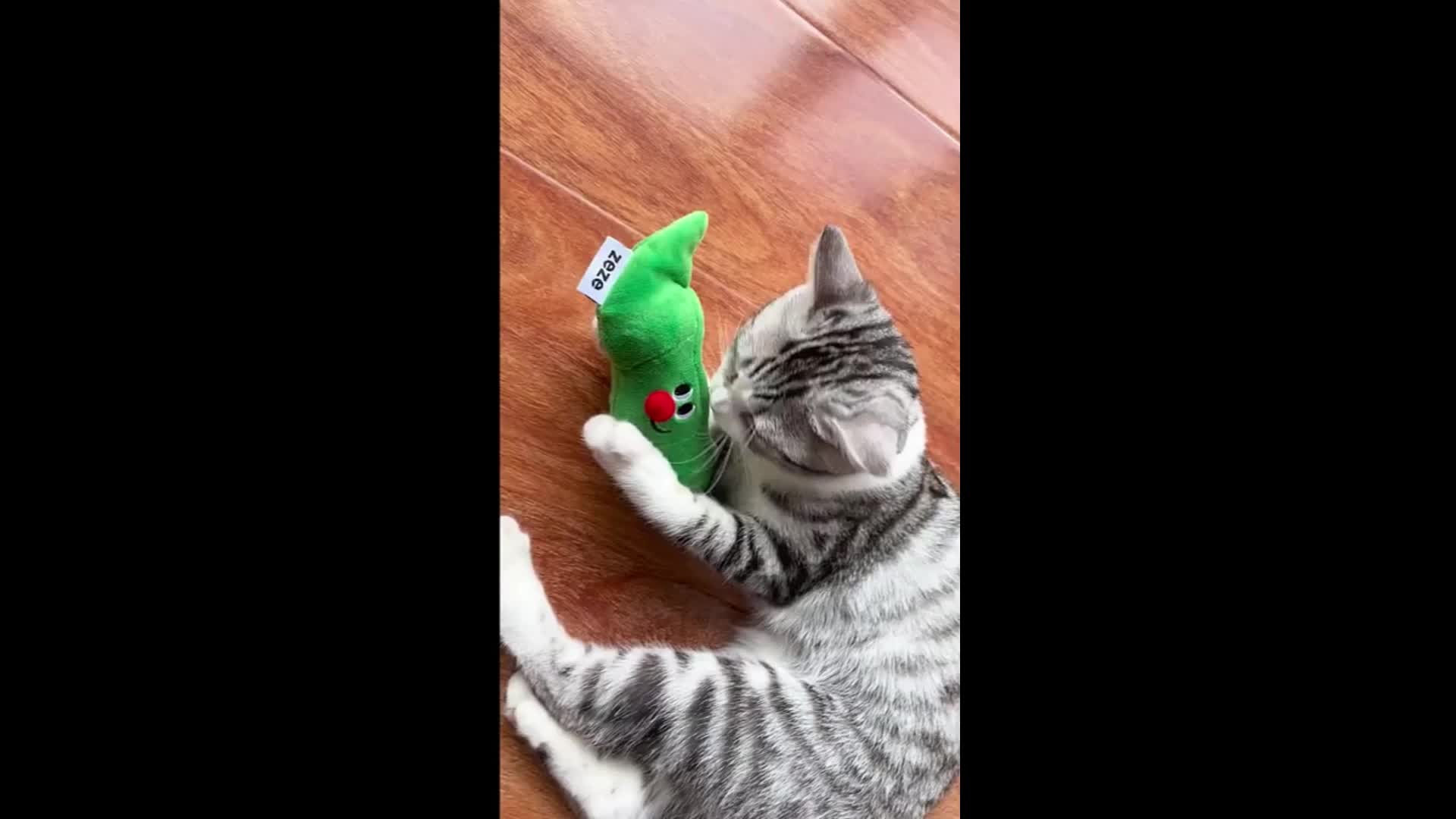 ZEZE Cat Hide-and-seek Toy Kitten Teasing Cat Stick Self Enjoyable Relieve Boredom Sisal Ball Cat Teeth Grinding Pea Toy Ball Supplies