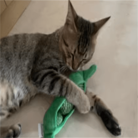 ZEZE Cat Hide-and-seek Toy Kitten Teasing Cat Stick Self Enjoyable Relieve Boredom Sisal Ball Cat Teeth Grinding Pea Toy Ball Supplies