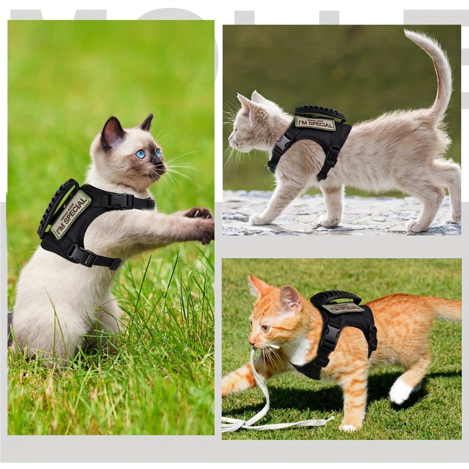 600D Tactical Vest for Cats - Pet Chest Strap Vest for Puppy And Cat Training, Suitable for Small Dogs
