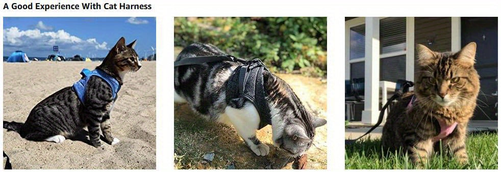 Escape-Proof Cat Harness and Leash Set - Soft Adjustable Vest Harness for Small and Medium Cats - Easy Control for Puppies - Cationic Fabric for Comfort and Durability - Perfect for Safe and Enjoyable Walks