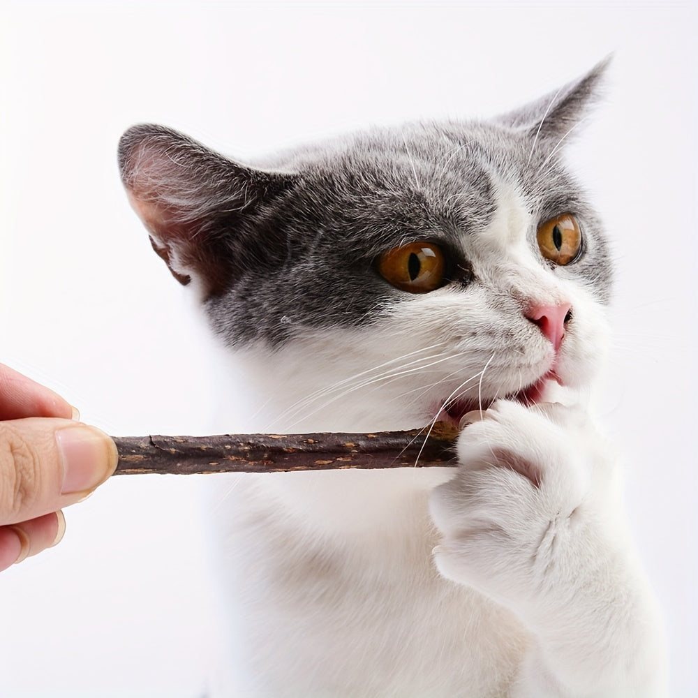 5-Pack Natural Wooden Cat Dental Sticks - Wholesome Indoor Cat Toy for Healthy Feline Teeth and Gums