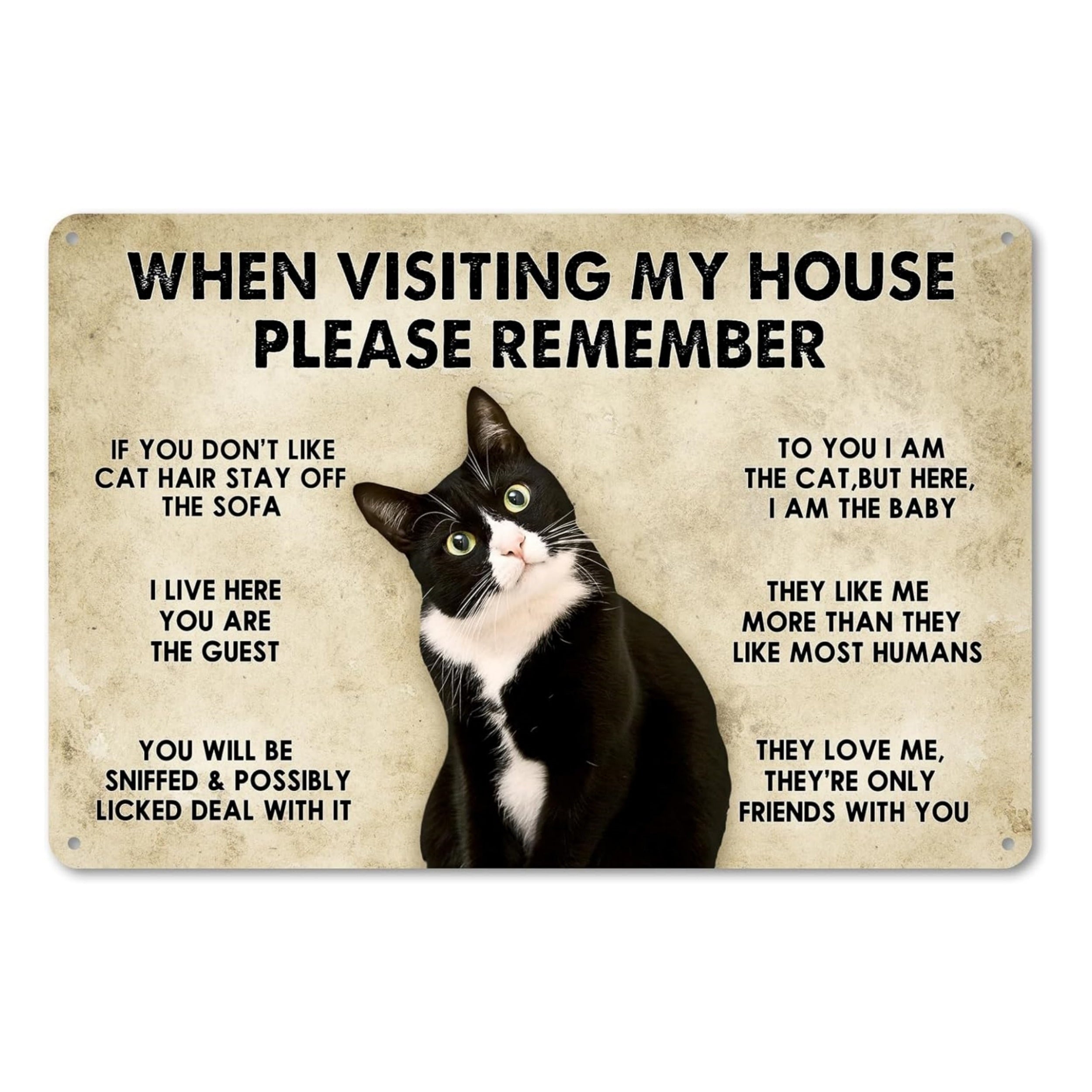 1pc, Cat - House Rules Funny Metal Tin Sign (11.81"x7.87"/30x20cm), Novelty Home Decor Halloween Christmas Gift