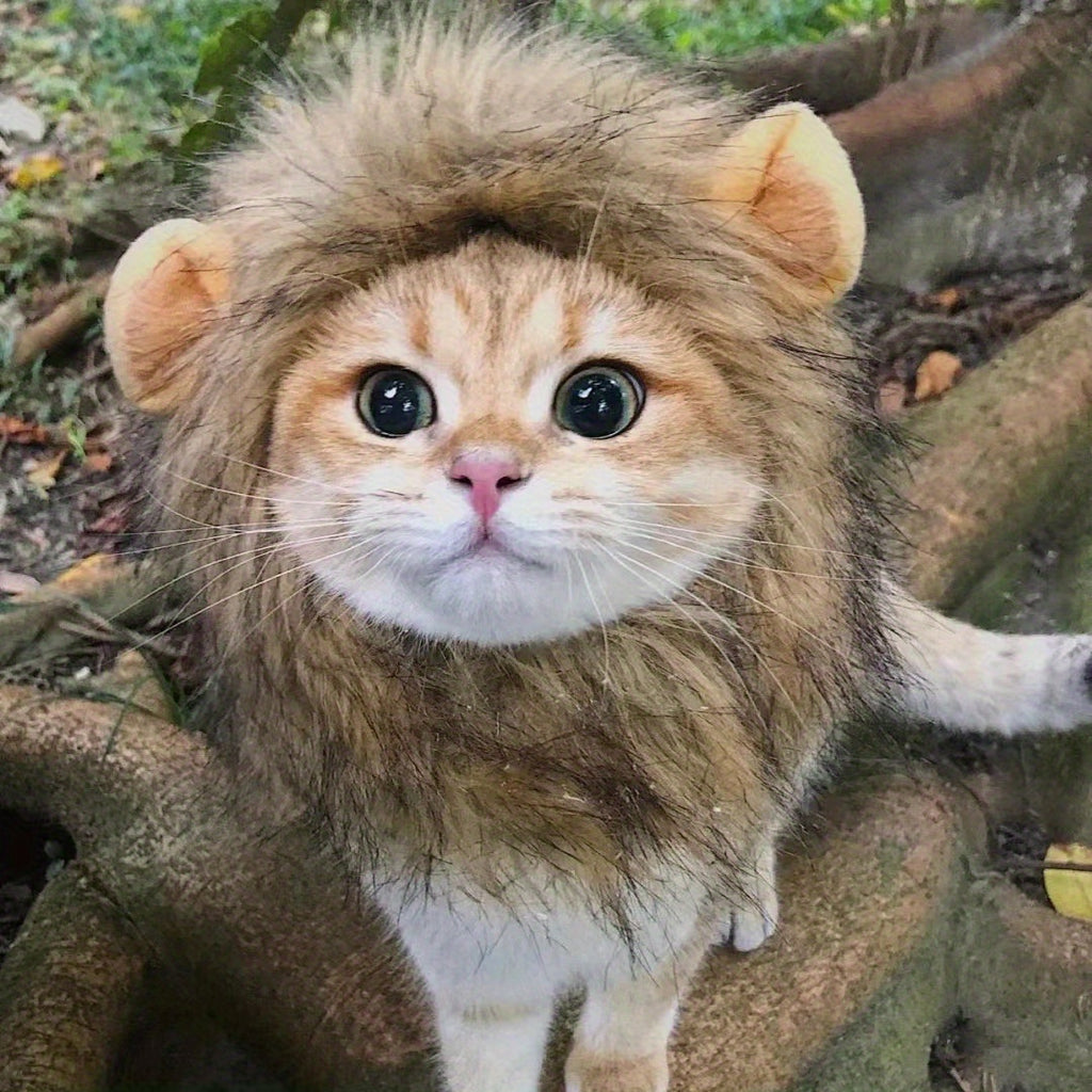 Furry Feline Wig - Soft, Breathable Polyester Pet Costume Accessory with Adorable Ears for Kitty Dress Up, Cosplay, Photo Shoots, and Everyday Play - Comfortable, Durable, and Easy to Clean