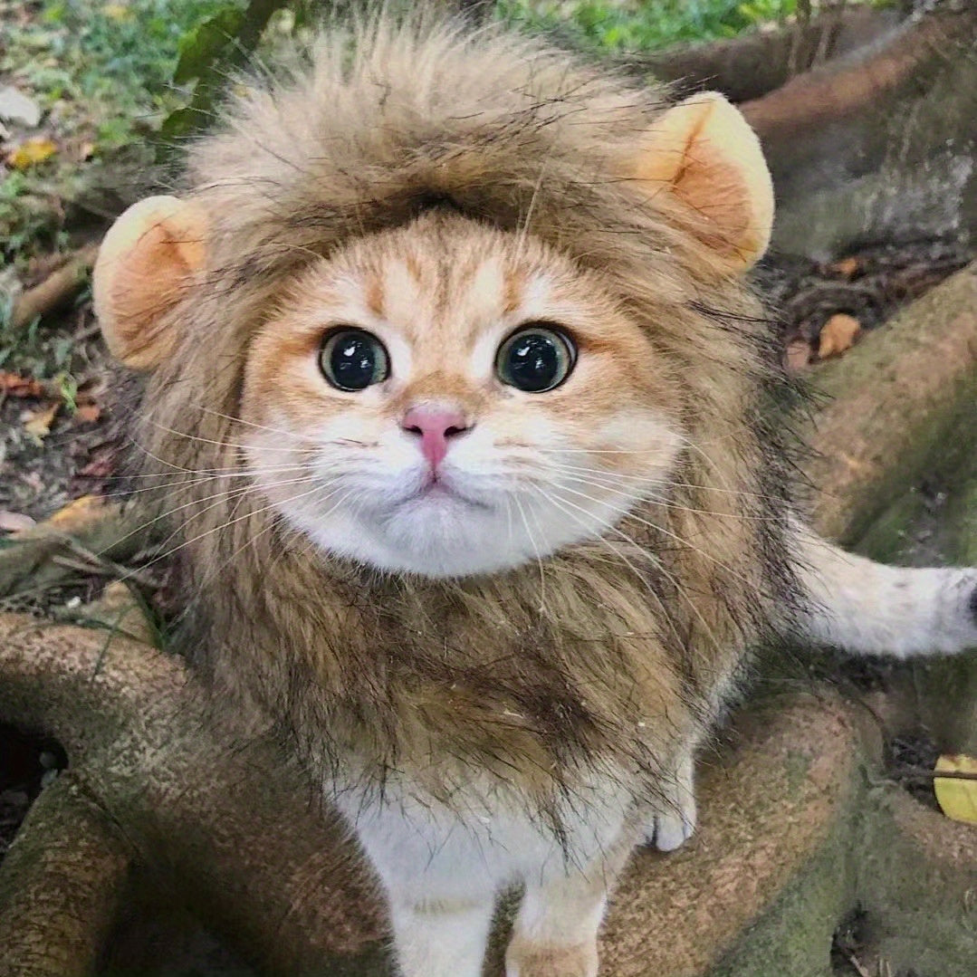 Furry Feline Wig - Soft, Breathable Polyester Pet Costume Accessory with Adorable Ears for Kitty Dress Up, Cosplay, Photo Shoots, and Everyday Play - Comfortable, Durable, and Easy to Clean