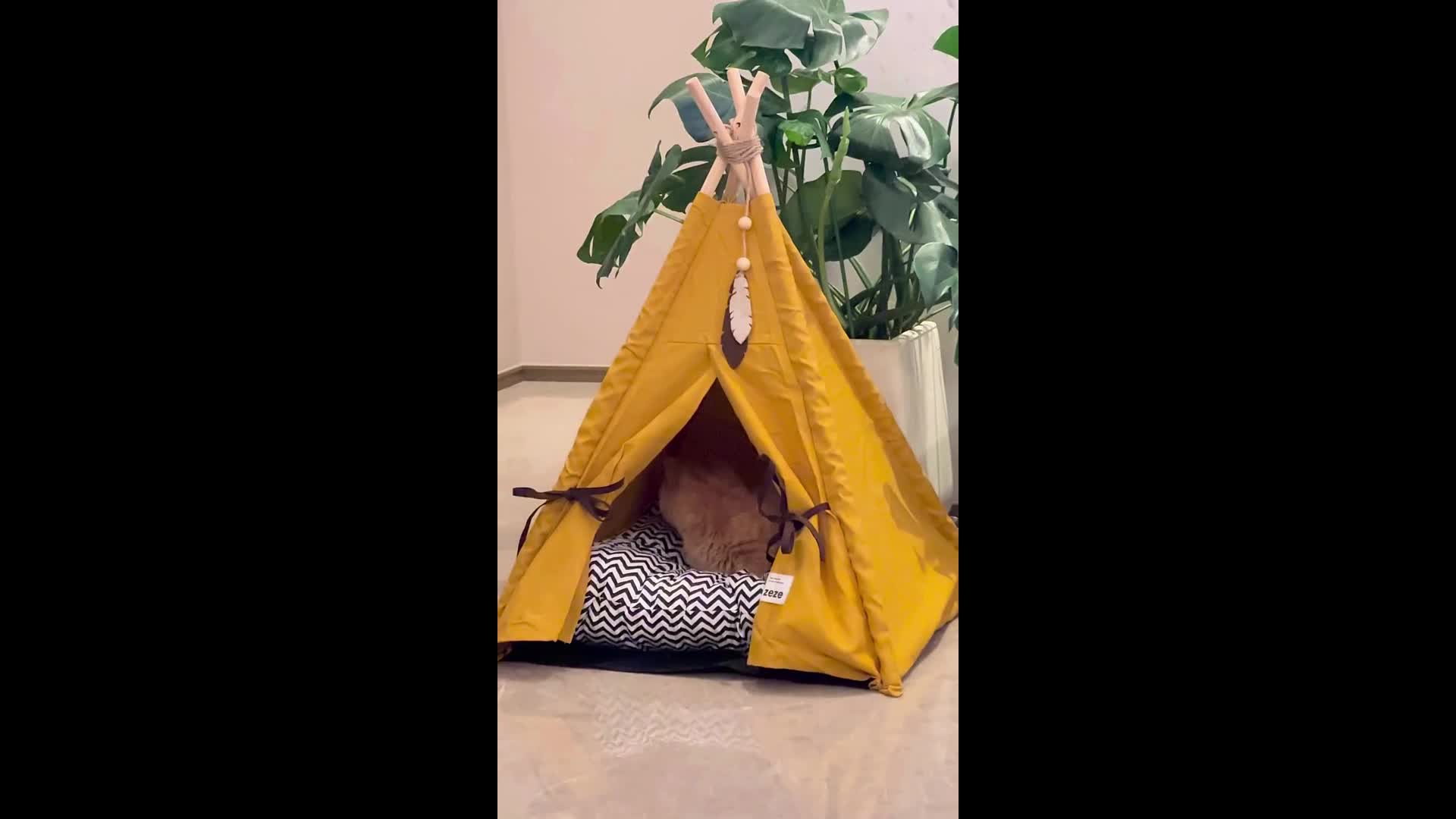 Pet Tent Portable Pet Tents For Small Dogs Or Cats, Puppy Bed Washable Dog Or Cat Houses With Cushion