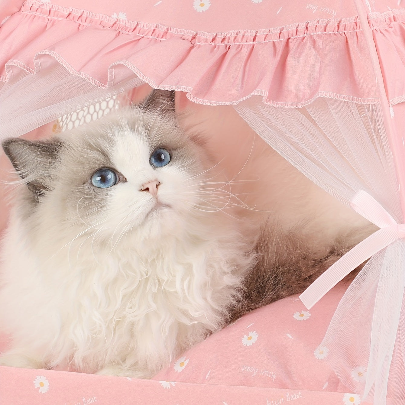 Cozy Lace Tent: The Perfect Nest For Your Cat Or Dog!