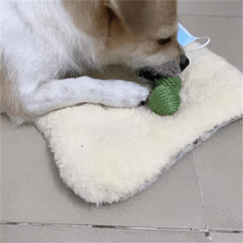 ZEZE Cat Hide-and-seek Toy Kitten Teasing Cat Stick Self Enjoyable Relieve Boredom Sisal Ball Cat Teeth Grinding Pea Toy Ball Supplies