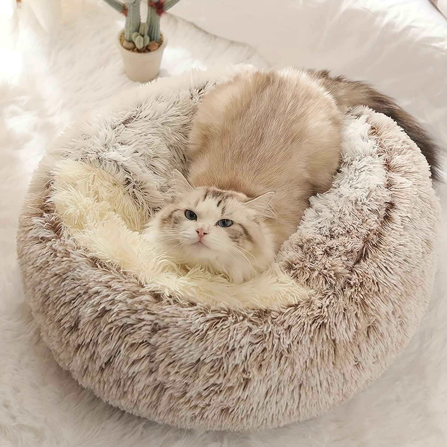 Luxurious Plush Hooded Donut Pet Bed for Cats & Small Dogs - Cozy, Warm, Non-Slip Bottom, Easy to Clean, Perfect for Winter Comfort